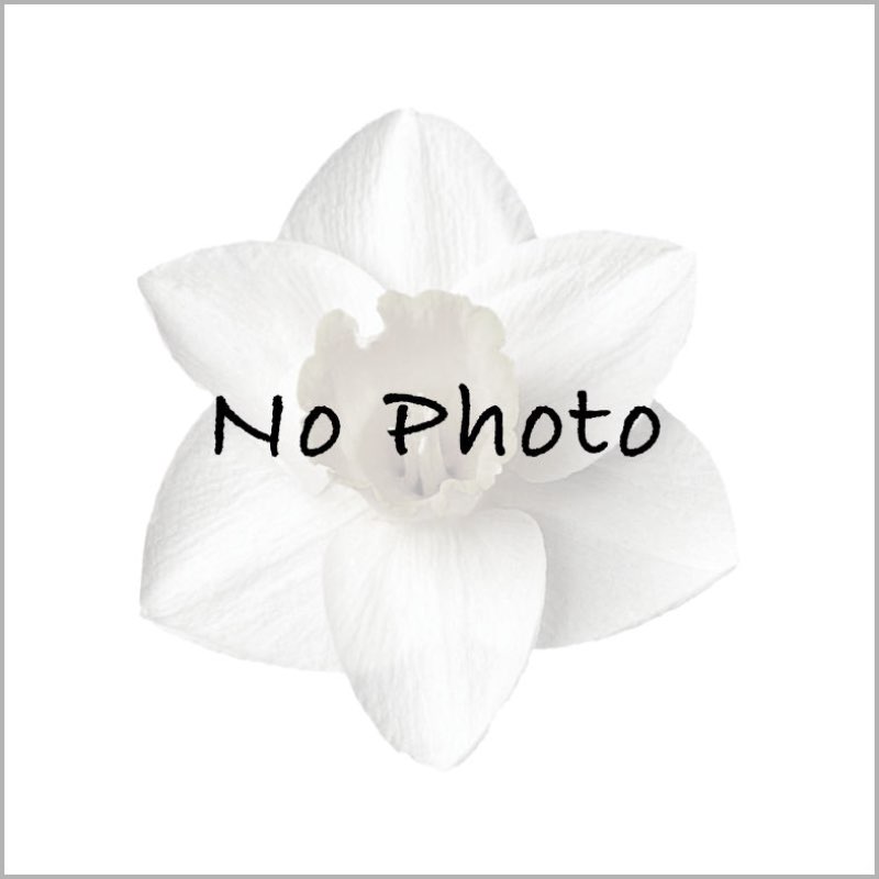 Profusion